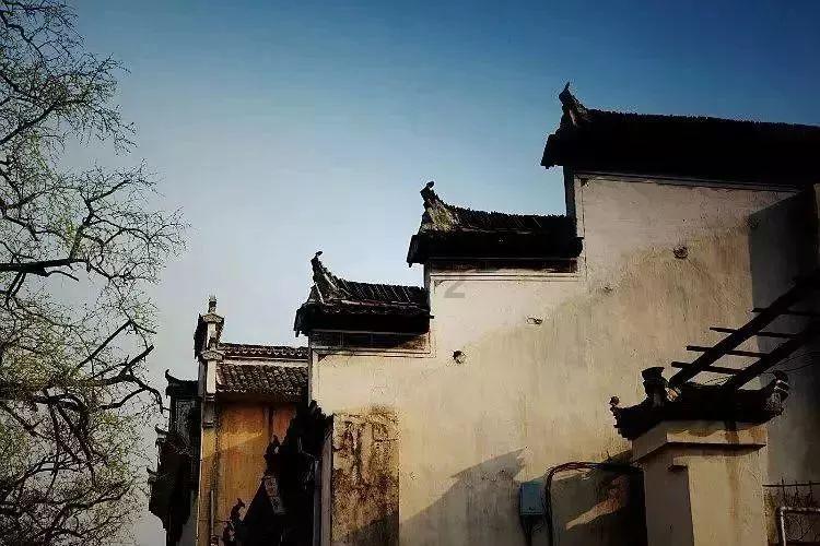 《繁花》热播中纺织品出圈,收发货量双增长且江浙遥遥领先